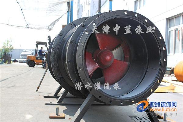 供應(yīng)700QGL/QGLS排水專用貫流泵價格-搶險救援貫流泵價格,產(chǎn)品報價-