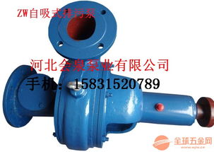 LXL型高效節能兩相流紙漿泵 100GXL130-30臥式全貫流泵解析